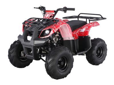 ATA125D ATV